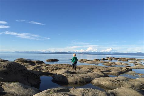 Hornby Island Has The Nickname The Hawaii Of Canada” And Takes A Three