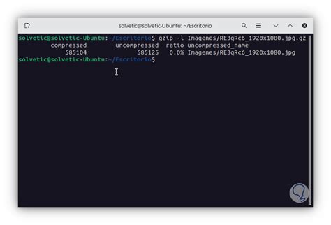 Comprimir O Descomprimir Archivos Con Gzip En Linux Solvetic