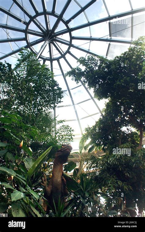 Sunderland Museum and Winter Gardens Stock Photo - Alamy