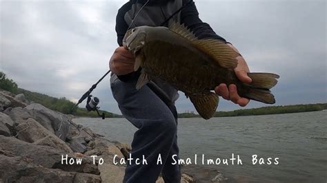 How To Catch A Smallmouth Bass Youtube