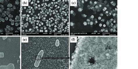 Surface Images Of Undoped And Doped ZnO Films A Undoped B 5 Al