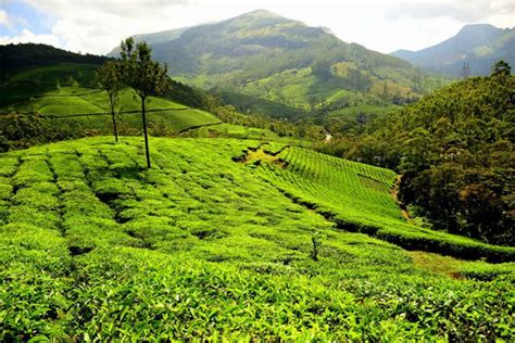 Rajamalai Eravikulam National Park Munnar India View Images Timing And Reviews Tripoto