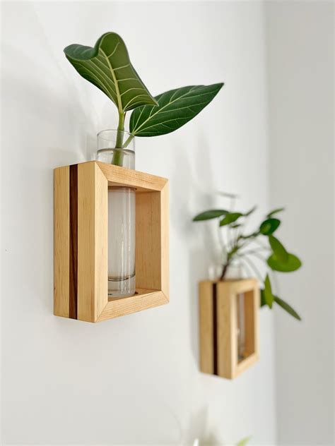 creating  plant wall  modern botanicals planters