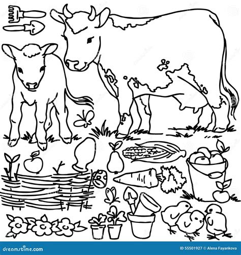 Livre De Coloriage Animaux De Ferme De Bande Dessinée Illustration