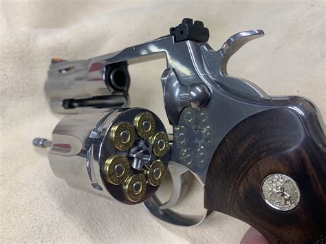 Bear Gun For Protection