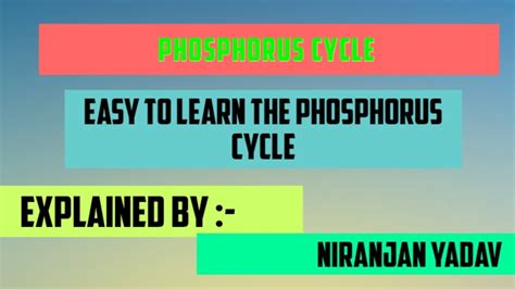 Phosphorus Cycle In Hindi YouTube