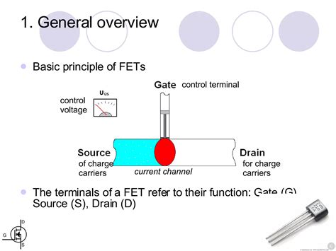 Field Effect Transistors Ppt