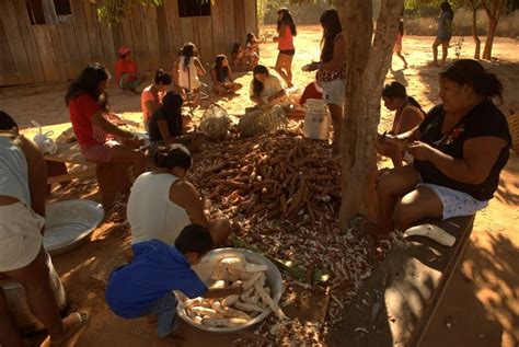 Brasil Grandes Fincas Invaden Más De 480000 Hectáreas De Tierras Indígenas En Mato Grosso