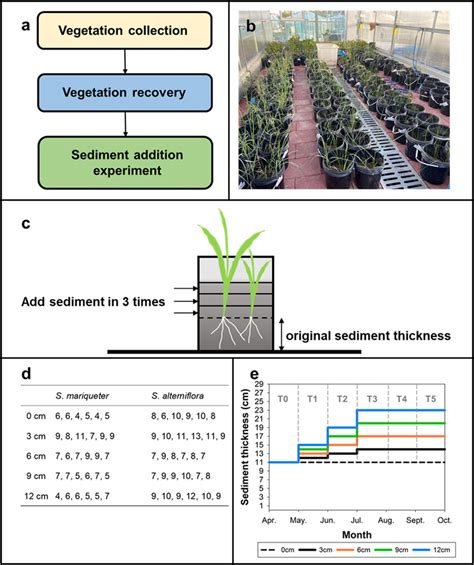 Schematic Diagrams And Photo Showing The Experiment Setups A Download Scientific Diagram