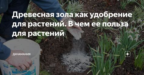 Древесная зола как удобрение для растений. В чем ее польза для растений ...