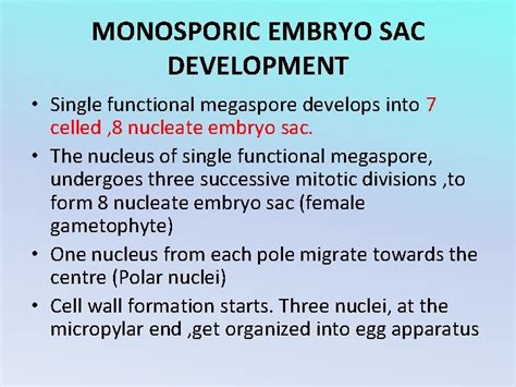 MEGASPOROGENESIS AND EMBRYO SAC DEVELOPMENT IN ANGIOSPERMS ANGIOSPERMS