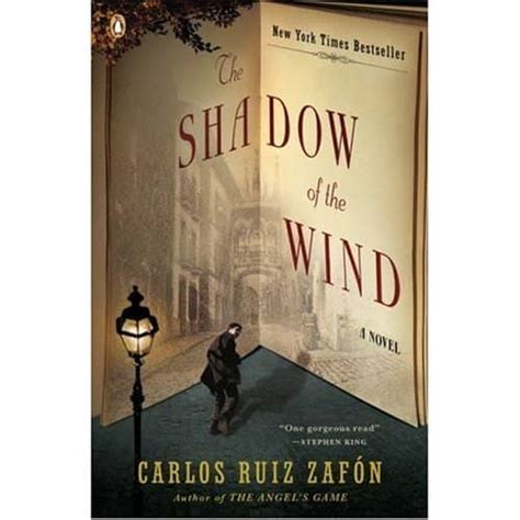 Review: "The Shadow of the Wind" by Carlos Ruiz Zafón - Owlcation