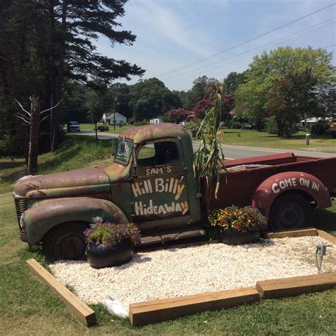 The walnut cove forest holds a surprising ancient secret 2