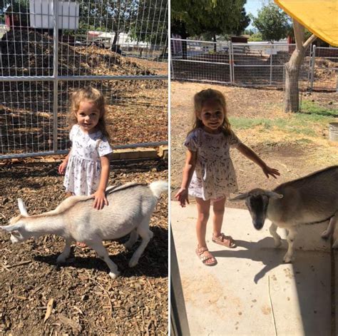 Goat Cuties Loma Vista Farm