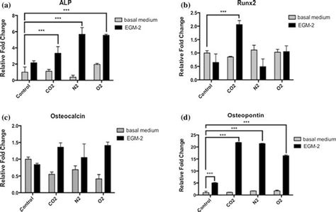 RNA Expressions Of Osteogenic Markers After EGM 2 Treatment For