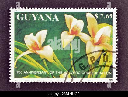 Timbre poste annulé imprimé par le Guyana qui montre la peinture de la