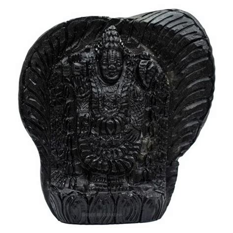 Lord Tirupati Balaji On Sudarshan Shaligram At Rs Balaji Murti