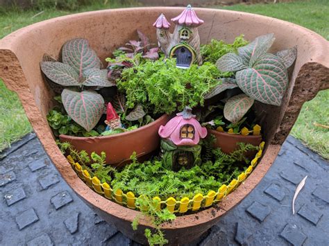 Fairy Garden