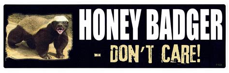 Buy Honey Badger, Don't Care - Funny Meme Bumper Sticker - 3 x 10 inch ...