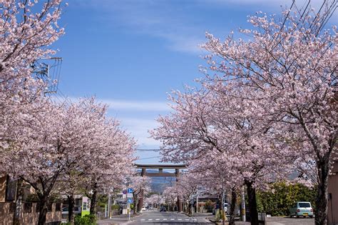 令和5年度延岡市人事異動第2次 0982株式会社