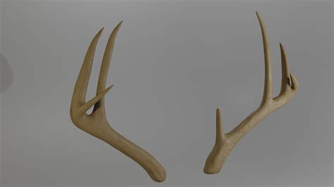 Deer Antlers 3d Model 3d Model Cgtrader