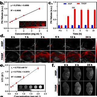 PA And MR Imaging A Illustration Of Tumor Visualization B In Vitro