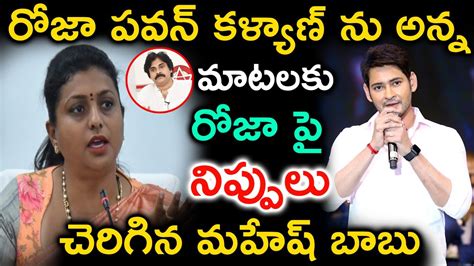 రోజా పవన్ కళ్యాణ్ ను అన్న మాటలకు రోజా పై నిప్పులు చెరిగిన మహేష్ బాబు