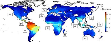 Global pattern of bat species richness. Legend corresponds to the... | Download Scientific Diagram