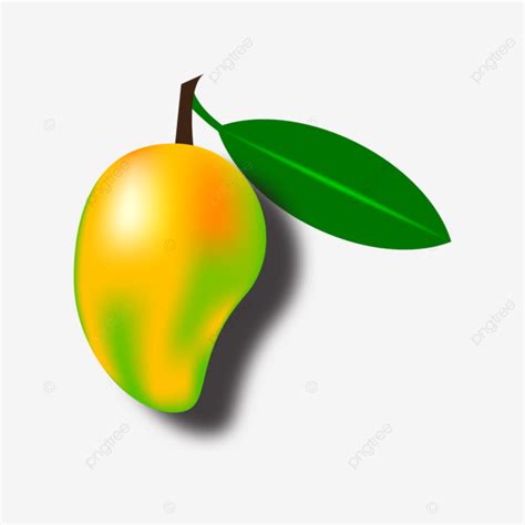 Mango Design Vector 3d Mango Design Mango Material Fruit PNG And