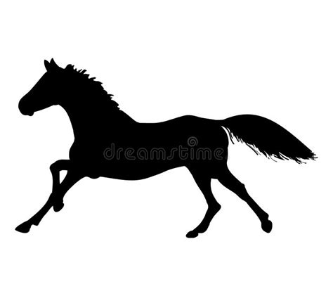 De Galop Van Het Paard Silhouet Vector Illustratie Illustration Of