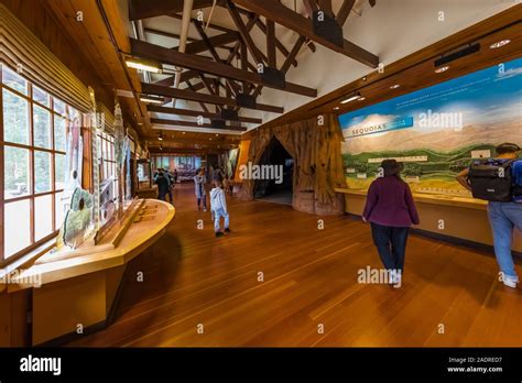 Giant Forest Museum Exhibits About Fires And Forest Ecology In Sequoia
