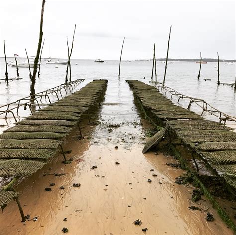 Visita Lège Cap Ferret scopri il meglio di Lège Cap Ferret Nuova