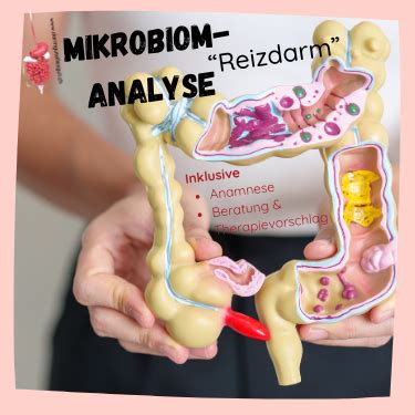 Mikrobiom Analyse Reizdarm Mit Auswertung Empfehlung Schauzudir