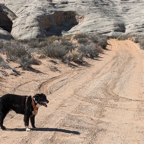 Glen Canyon Nra Wildcat Tank Dispersed Camping Big Water Az