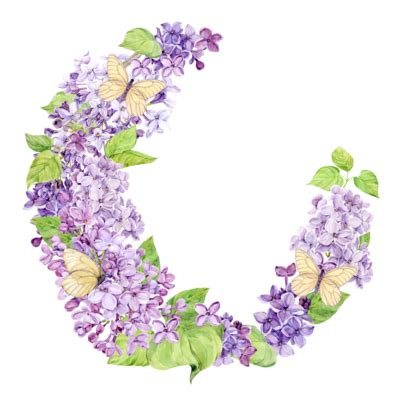 Mariposa Lila PNG Para Descargar Gratis