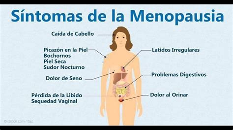 Menopausia Etapa Nueva De Oportunidades Youtube