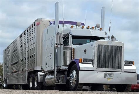 Hearn Trucking Truckload And Transportation Services Livestock