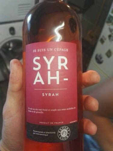 Expert Club Syrah Rosé Vivino US