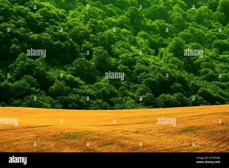 North Of Iran Stock Photo Alamy