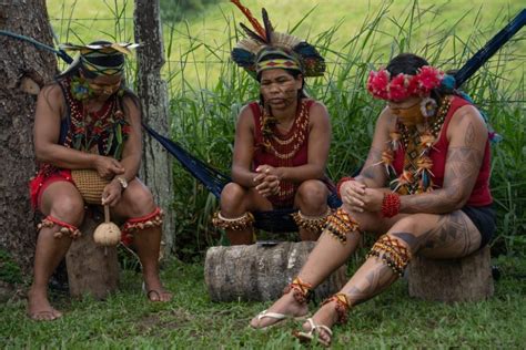 Quatro Decis Es De Reintegra O De Posse Amea Am Povo Patax No Extremo