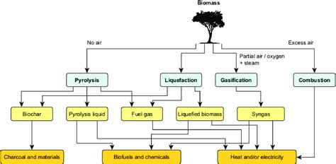 Main Thermochemical Routes For Biomass Processing Download Scientific Diagram