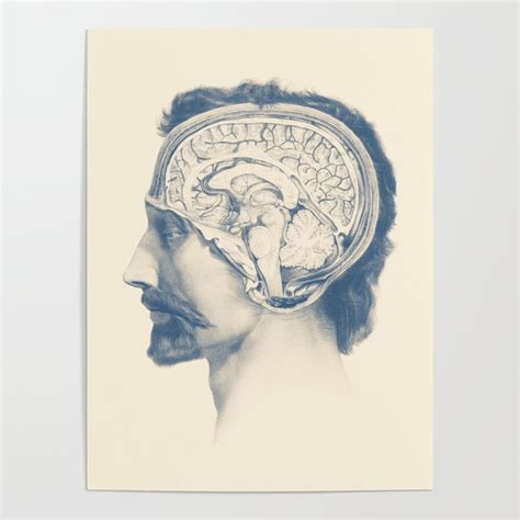 Male Brain Anatomy - Side View - Vintage Anatomy Poster by Vintage Anatomy Prints | Society6