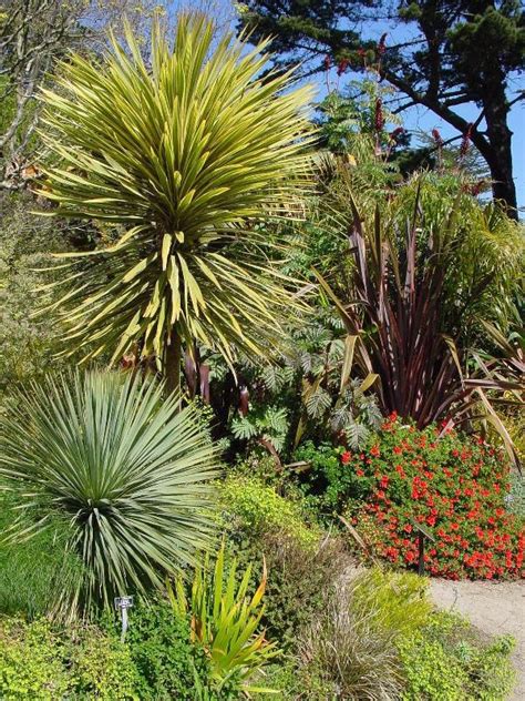 San Francisco Botanical Garden At Strybing Arboretum