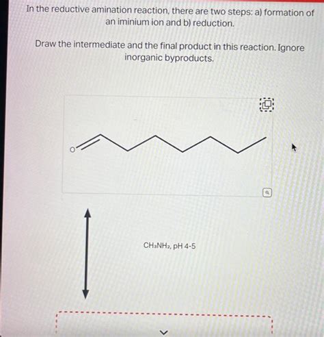 Solved In The Reductive Amination Reaction There Are Two Chegg