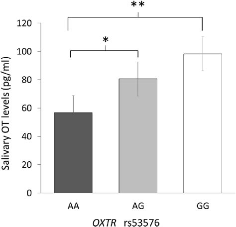 Relationship Between OXTR Polymorphisms And Salivary Oxytocin OT