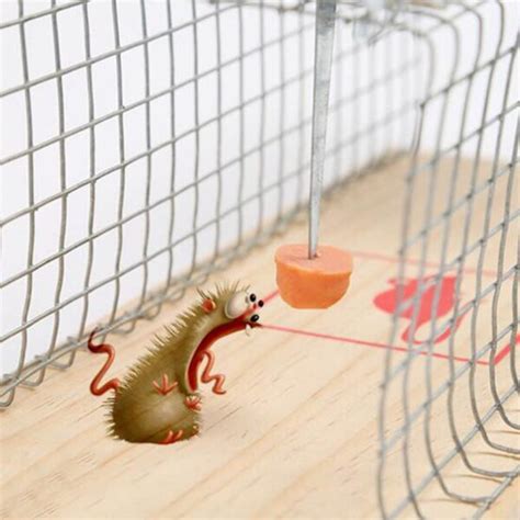 Cage attrape souris vivante Piège sans cruauté Pièges à Souris