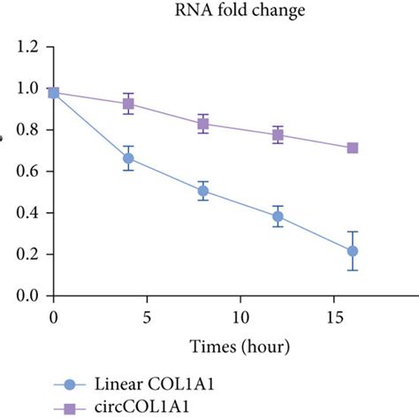 Characterization Of CircCOL1A1 In Gastric Cancer A PCR Was Performed