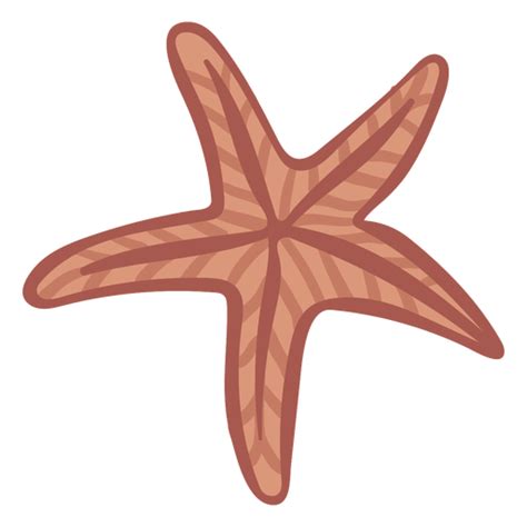 Hand Drawn Color Starfish Png And Svg Design For T Shirts