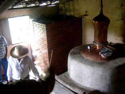 13 de SETEMBRO dia dela Cachaça pinga cana ou caninha marvada