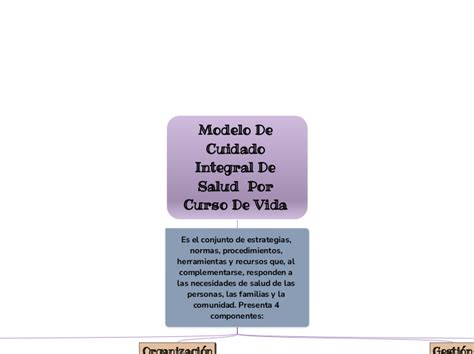 Modelo De Cuidado Integral De S Mindmap Voorbeeld